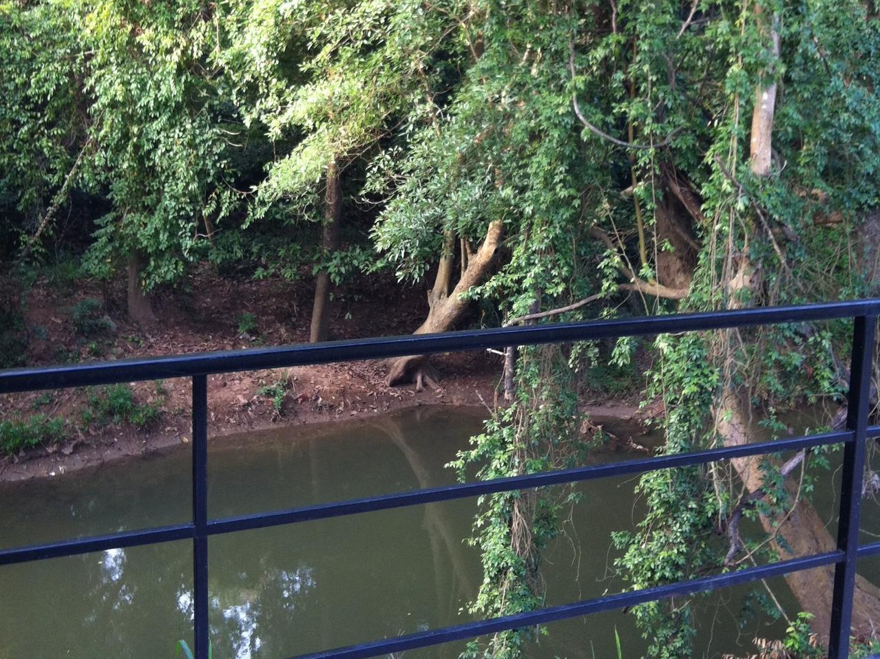 The Creek At Khao Yai Hotel Pakchong Exterior photo