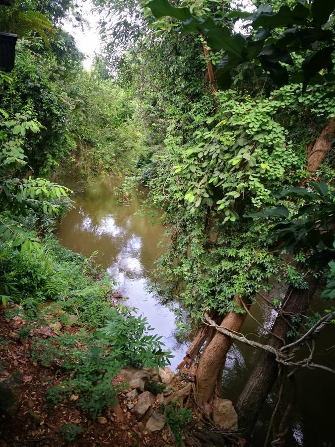 The Creek At Khao Yai Hotel Pakchong Exterior photo